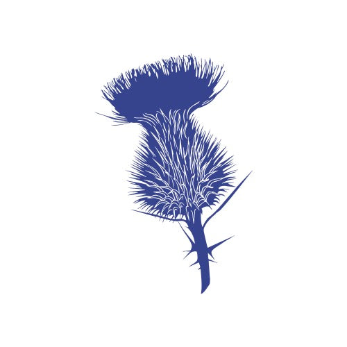 The Thistle and Scotland