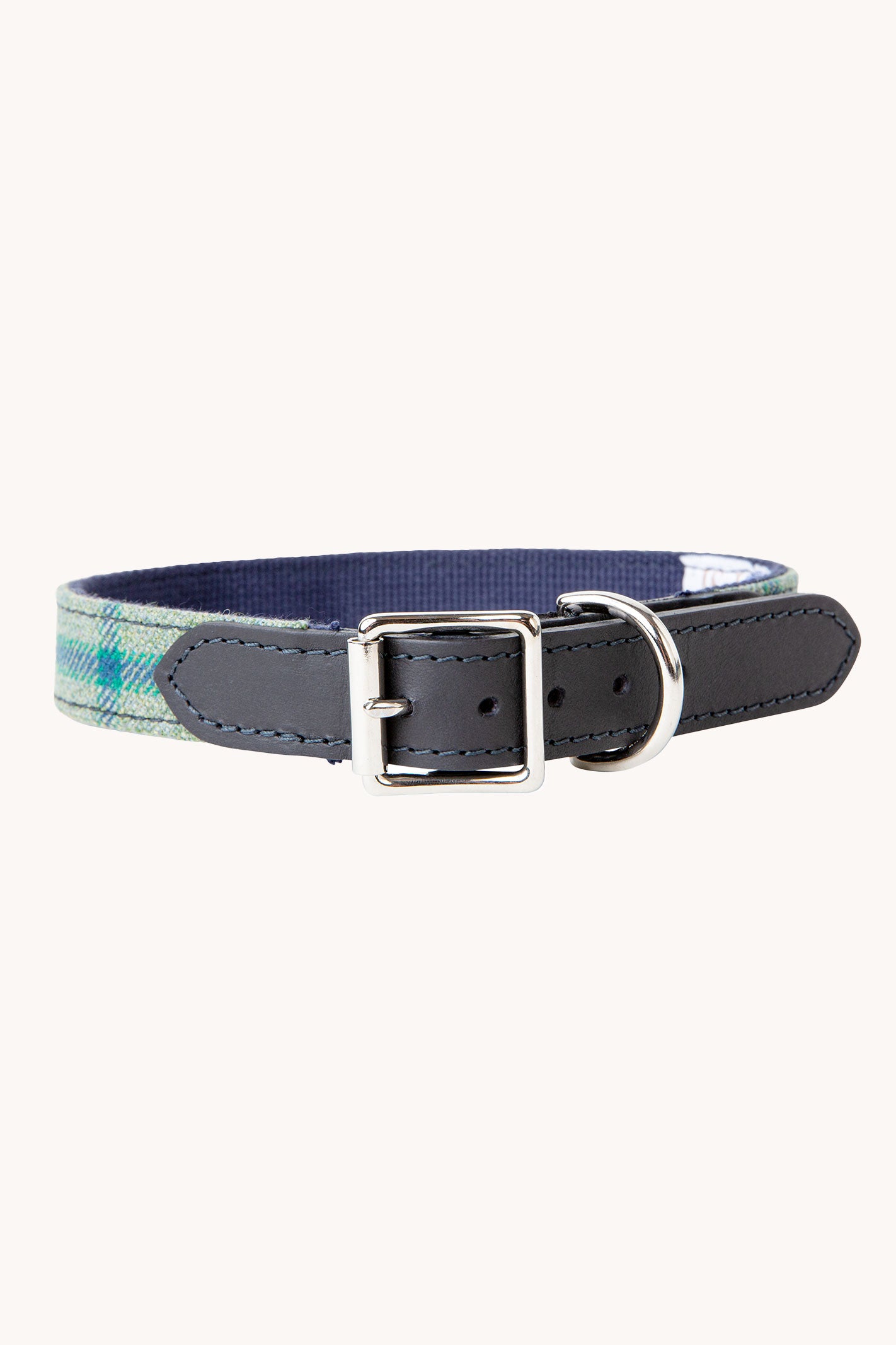 Colley Dog Collar