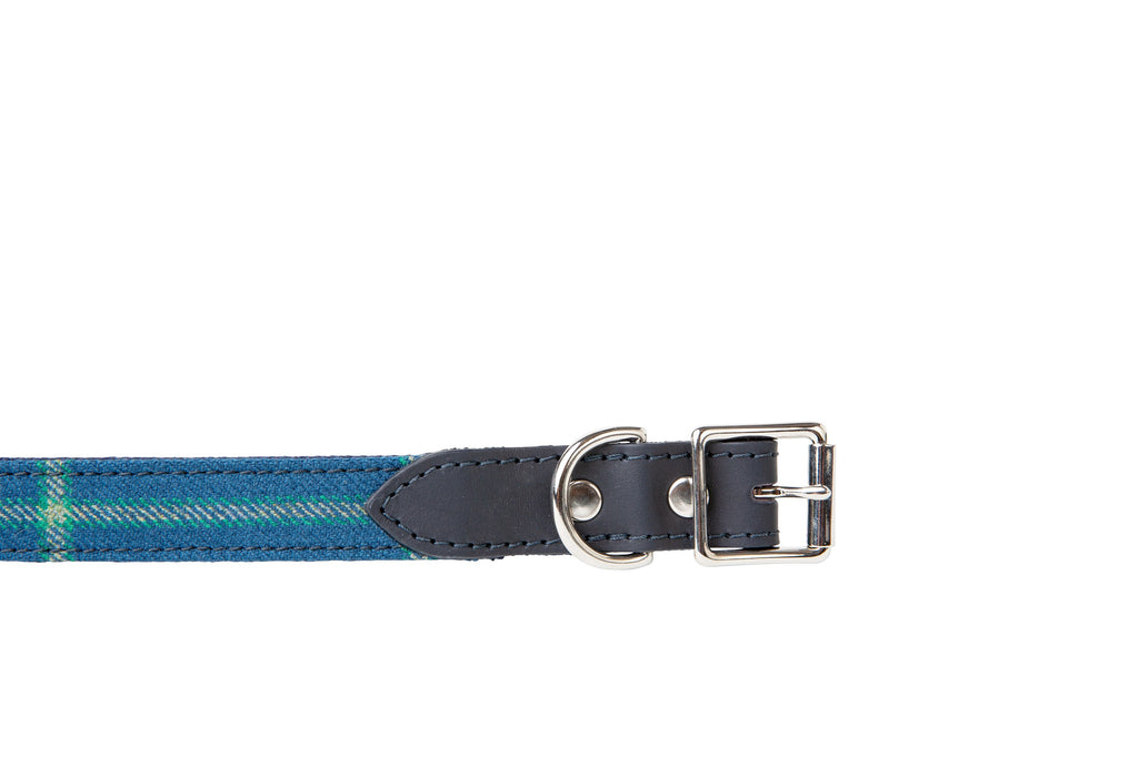 Detail of the buckle with leather and metal detailing on the Colley Dog Collar in blue patterned Struie tweed