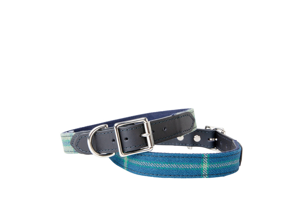 The Colley Dog Collar shown with a coiled collar in Links House tweed stacked on top of the collar in Struie tweed, showing the leather detailing on the buckles